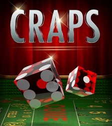What do some of the main terms in craps mean?
