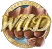 Gamblers love to play wild slots!